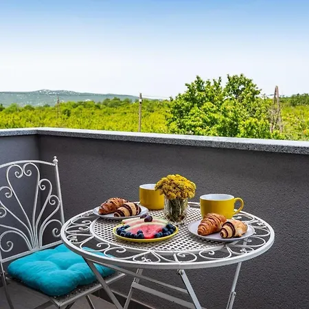 Ferienhaus Mit Privatpool Fuer 8 Personen Ca 126 Qm In Radosinovci, Dalmatien Norddalmatien *